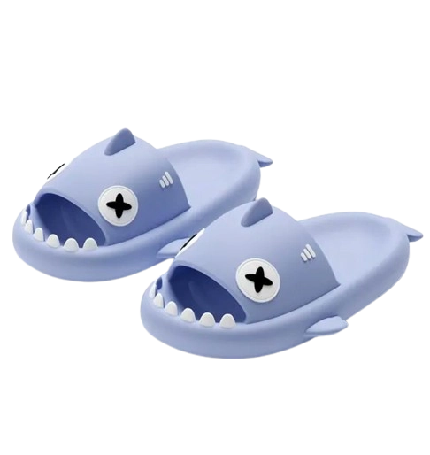 Dropshipping Winning Product